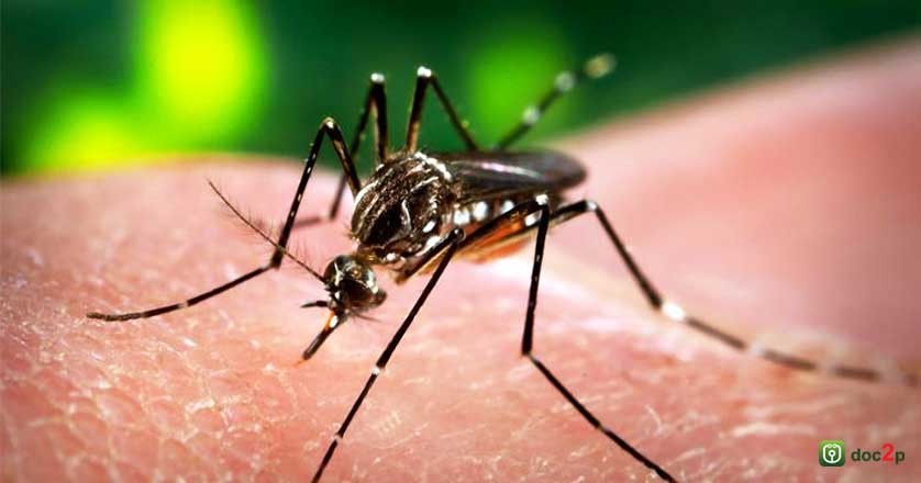 Zika in pregnancy